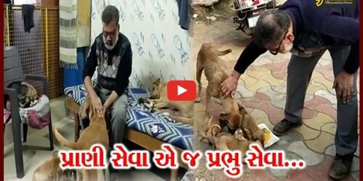 અંકલેશ્વર : “પ્રાણી સેવા એ જ પ્રભુ સેવા”ને વરેલા જીવદયા પ્રેમી છેલ્લા 15 વર્ષથી કરે છે શ્વાનોની સેવા…