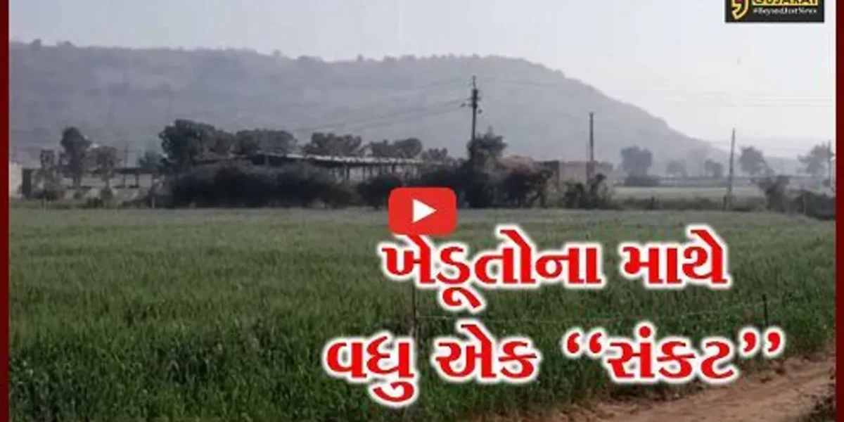 સાબરકાંઠા : જંગલી ભૂંડનો ખેડૂતો પર જીવલેણ હુમલો, પાકને પણ પહોચાડ્યું વ્યાપક નુકશાન…