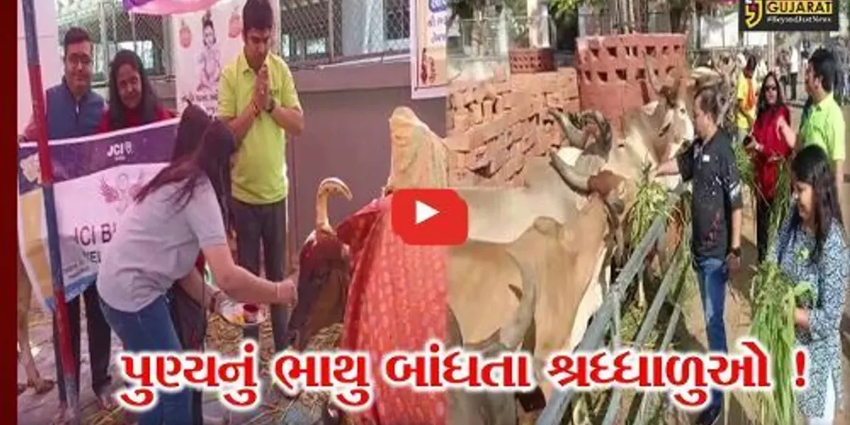 ભરૂચ: મકરસંક્રાંતિના પર્વ પર શ્રધ્ધાળુઓએ કર્યું નર્મદા સ્નાન, ગાયને ઘૂઘરી પણ ખવડાવી