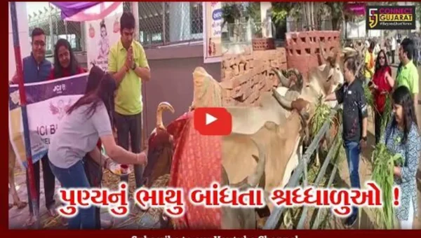 ભરૂચ: મકરસંક્રાંતિના પર્વ પર શ્રધ્ધાળુઓએ કર્યું નર્મદા સ્નાન, ગાયને ઘૂઘરી પણ ખવડાવી