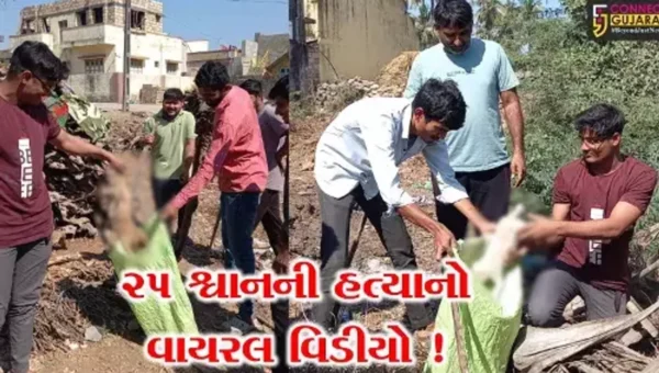 ગીરસોમનાથ: આ ગામમાં એક સાથે 25 શ્વાનોની સામૂહિક હત્યા થઈ હોવાનો ચોંકાવનારો વિડીયો વાયરલ,જુઓ શું છે તથ્ય