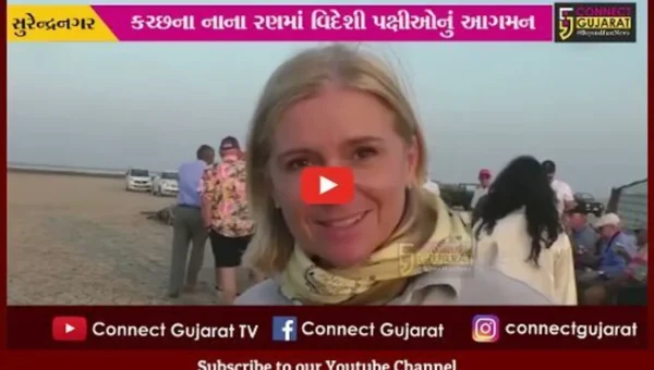 કચ્છના નાના રણમાં વિદેશી પક્ષીઓનું આગમન, અભયારણ્યની મુલાકાતે સહેલાણીઓ ઉમટ્યા…