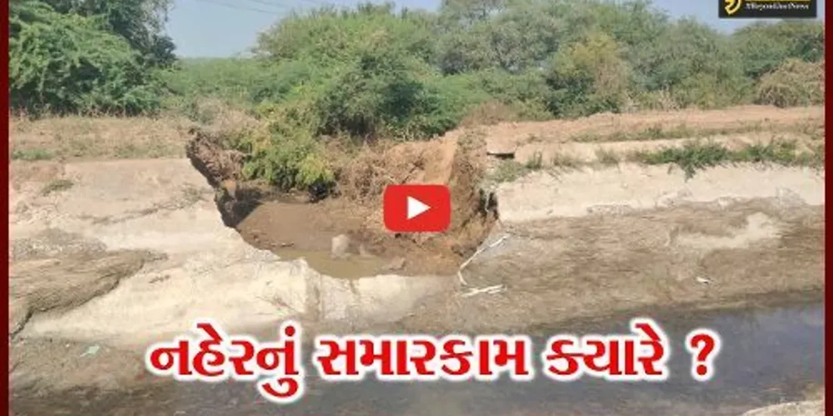ભરૂચ: શહેરમાં પાણીની કટોકટી વચ્ચે વિપક્ષના સભ્યોએ કર્યું સ્થળ નિરિક્ષણ, નહેરના સમારકામની કરી માંગ