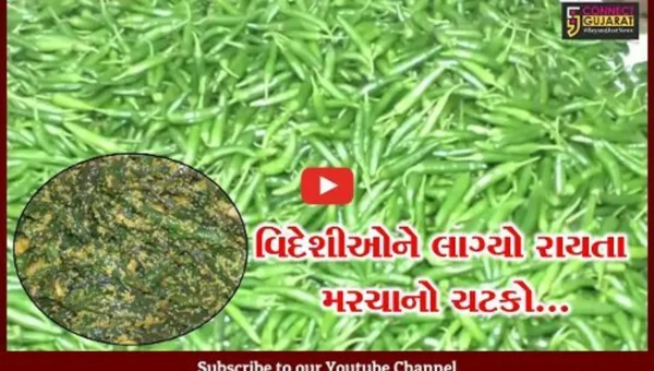 સુરેન્દ્રનગર : સાત સમંદર પાર પહોંચ્યો વઢવાણિયા રાયતા મરચાનો સ્વાદ, ગ્રુહ ઉદ્યોગ થકી મહિલાઓ બની આત્મનિર્ભર…