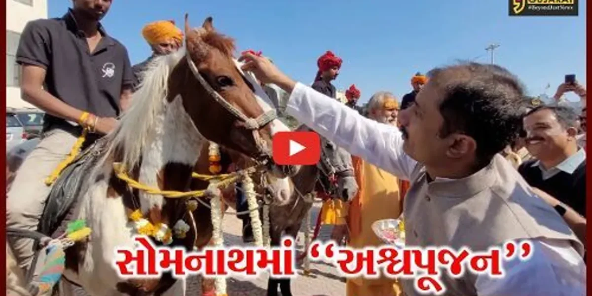 ગીર સોમનાથ : અશ્વ સાથે શિવભક્તો પહોચ્યા સોમનાથ, સોમનાથ ટ્રસ્ટ દ્વારા કરાયું અશ્વપૂજન…