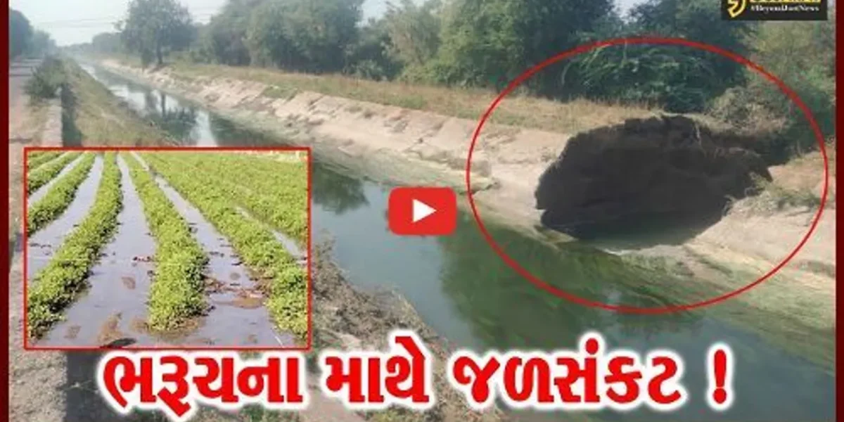 ભરૂચ: શહેરમાં પાણી પહોંચાડતી અમલેશ્વર બ્રાન્ચ કેનાલમાં ડભાલી ગામ નજીક ગાબડુ, ખેતરો થયા જળબંબાકાર