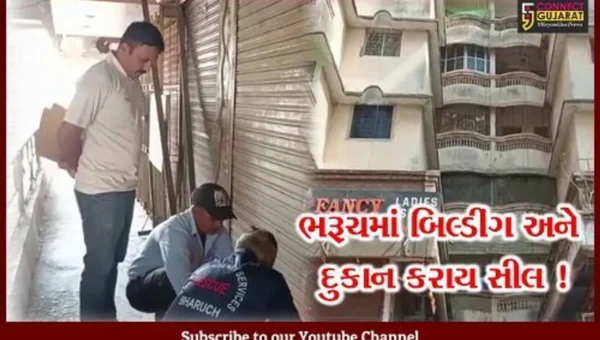 ભરૂચ-અંકલેશ્વરમાં તંત્રનો સપાટો, ફાયર સેફ્ટી વગરની 6 બિલ્ડીંગ અને 11 દુકાન સીલ