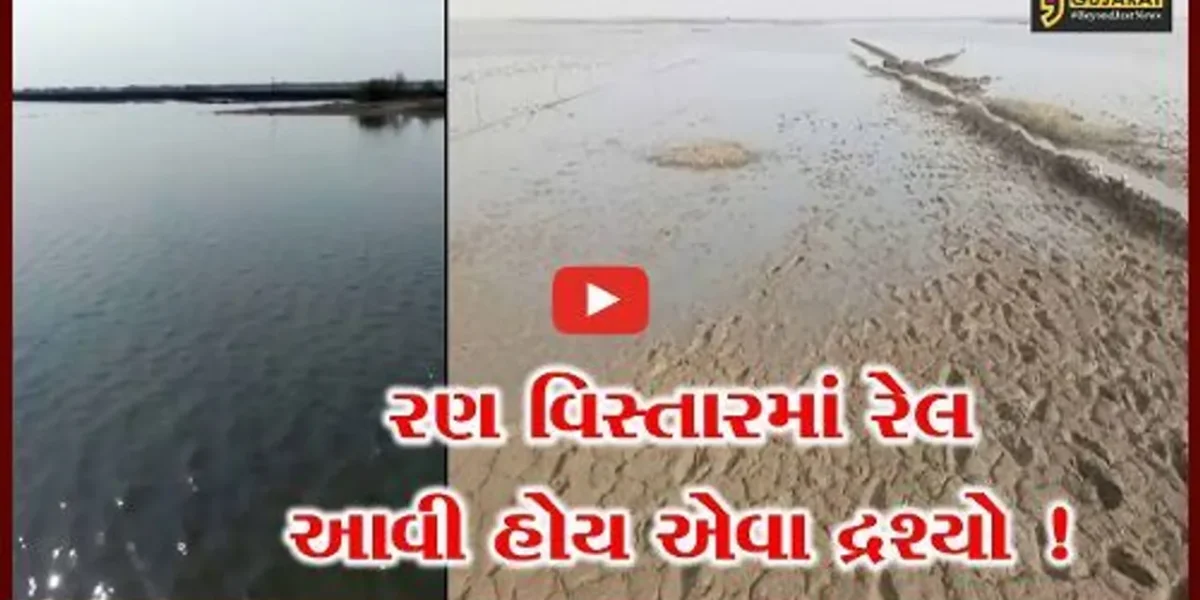 સુરેન્દ્રનગર: રણ વિસ્તારમાં નર્મદાનું પાણી ફરી વળ્યુ, મીઠુ પકવતા અગરીયાઓના માથે આફત