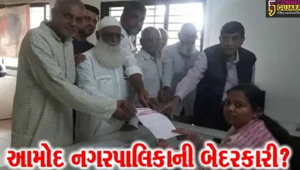 ભરૂચ: આમોદ ન.પા.એ વીજ કંપનીનું રૂ.2.20 કરોડનું બાકી બિલ ન ભરતા સ્ટ્રીટ લાઇટના 23 જોડાણ કપાયા,નગરમાં છવાયો અંધારપટ