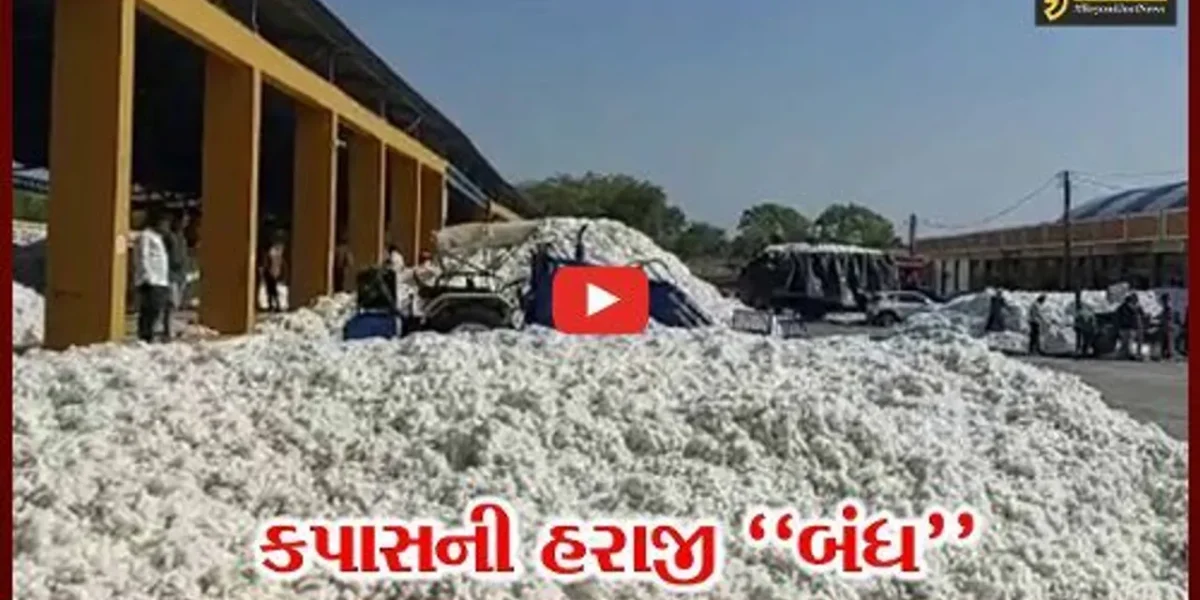 અમરેલી : બાબરા APMCમાં કપાસના પોષણક્ષમ ભાવ ન મળતા ખેડૂતોમાં રોષ, કિસાન સંઘે જાહેર હરાજી બંધ કરાવી