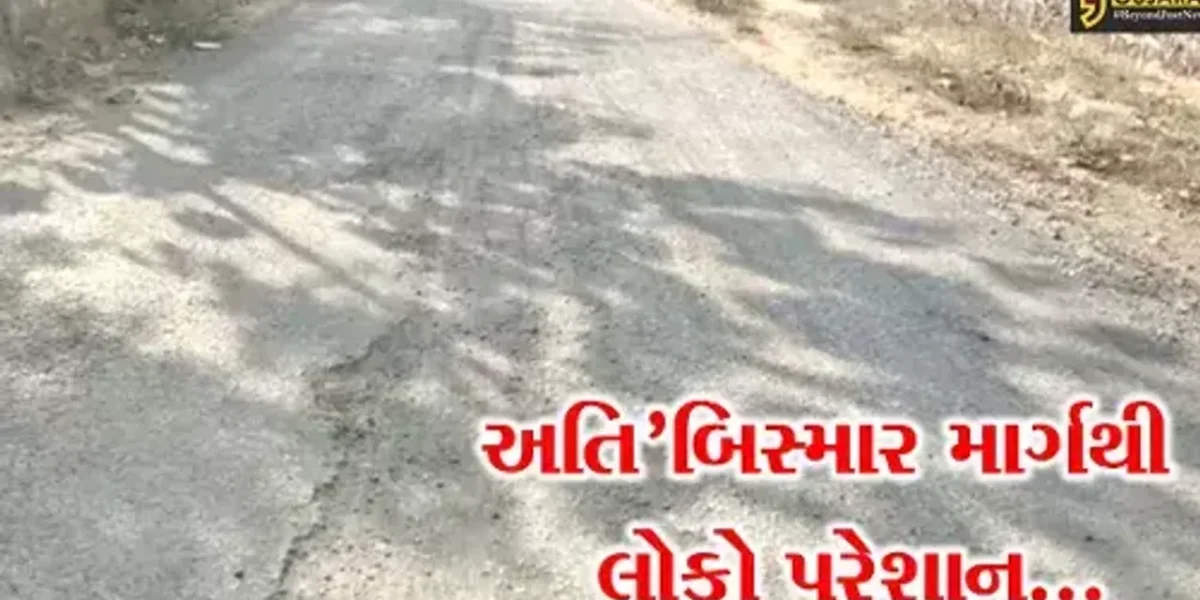 ભરૂચ : ઝઘડીયાના રતનપુર બાવાગોર દરગાહ સુધીના અત્યંત બિસ્માર માર્ગથી લોકોને ભારે હાલાકી…