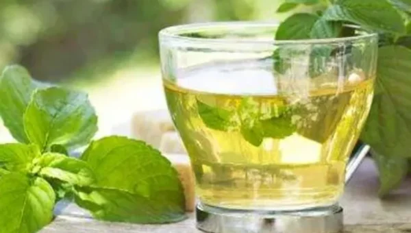 શિયાળામાં શરીરને ડિટોક્સ કરવા માટે કરો આ 5 ડ્રિંક્સનો ઉપયોગ…