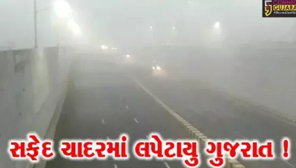 ગાઢ ધુમ્મસની ચાદરમાં લપેટાયુ ગુજરાત, વિઝિબિલિટી ઘટતા વાહનચાલકોને મુશ્કેલી