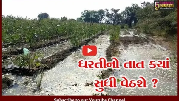 સુરેન્દ્રનગર: લખતરમાં કેનાલનું પાણી લીક થતા ખેતરોમાં ફરી વળ્યુ, ઉભા પાકને નુકશાન થતા ધરતીપુત્રોમાં રોષ