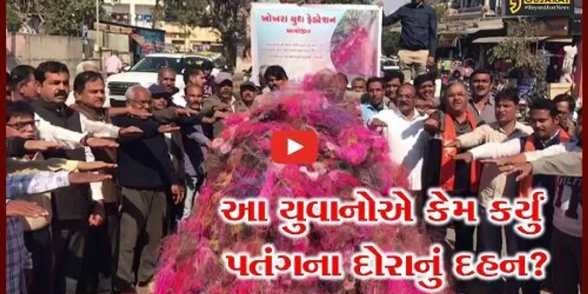 અમદાવાદ: ઉત્તરાયણ બાદ પતંગના દોરા પક્ષીઓ માટે ઘાતક પુરવાર થાય એ પૂર્વે યુવાનોએ કર્યું આ કામ