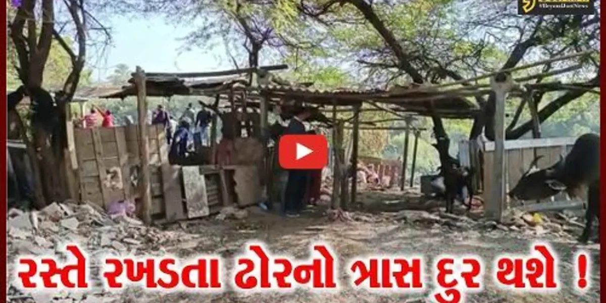 વડોદરા: પરશુરામ ભઠ્ઠામાં ચાલતા પશુવાડા ધ્વસ્ત,રખડતા ઢોરનો ત્રાસ દૂર કરવા તંત્રની કામગીરી.
