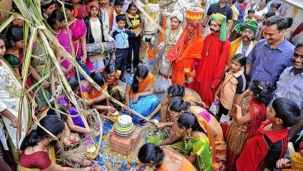 તમિલનાડુમાં દરેક જગ્યાએ પોંગલની ઉત્સાહભેર કરવામાં આવી રહી છે ઉજવણી