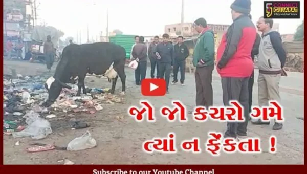 ભાવનગર: શહેરમાં કચરો મન ફાવે એમ નાખી ગંદકી ફેલાવી તો તમે નહીં બચી શકો, જુઓ તંત્ર શું લઈ રહ્યું છે પગલા