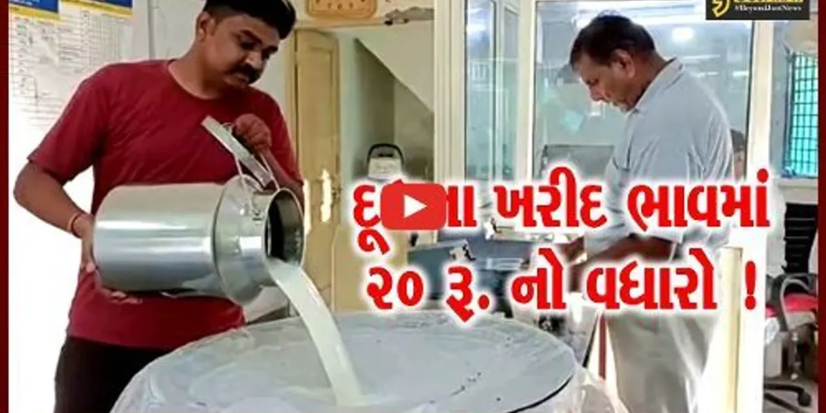 સાબરકાંઠા: સાબરડેરી દ્વારા દૂધના ખરીદ ભાવમાં પ્રતિ કિલો ફેટે રૂ.20નો વધારો, ભાવ વધારો 21 જાન્યુઆરીથી થશે લાગુ