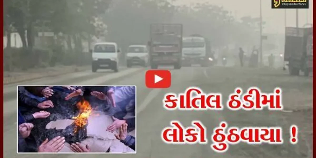હવામાન વિભાગની રાજ્યમાં કોલડવેવની આગાહી, વહેલી સવારે ધુમ્મસની ચાદર છવાઈ ગઈ