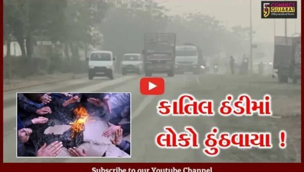 હવામાન વિભાગની રાજ્યમાં કોલડવેવની આગાહી, વહેલી સવારે ધુમ્મસની ચાદર છવાઈ ગઈ