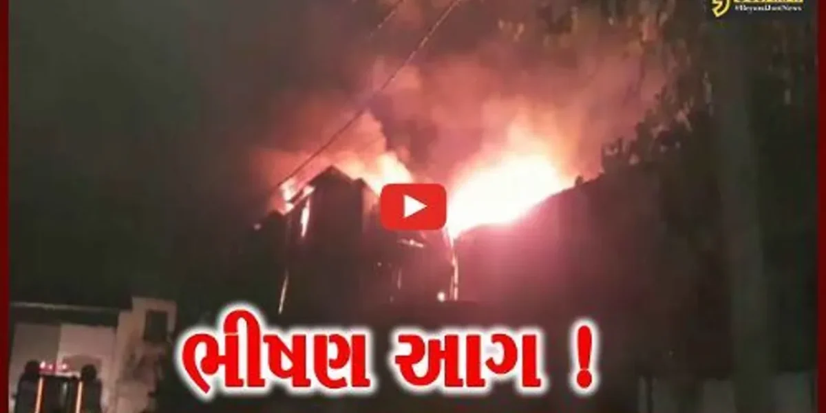 વડોદરા: પાદરાના જાસપુર રોડ પર આવેલી ફાર્મા કંપનીમાં ભીષણ આગ, ફાયર વિભાગે આગ પર મેળવ્યો કાબૂ