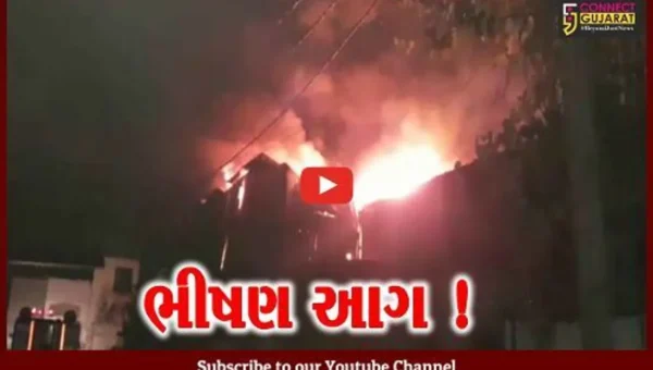 વડોદરા: પાદરાના જાસપુર રોડ પર આવેલી ફાર્મા કંપનીમાં ભીષણ આગ, ફાયર વિભાગે આગ પર મેળવ્યો કાબૂ