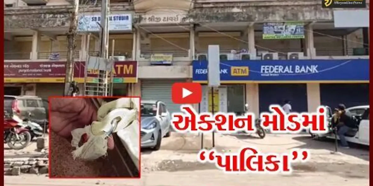 વલસાડ : ફાયર NOC નહીં લેનાર 3 બેન્ક સહિતની મિલ્કતોને ટાંચમાં લેવાય, પાલિકાની કામગીરથી લોકોમાં ફફડાટ…