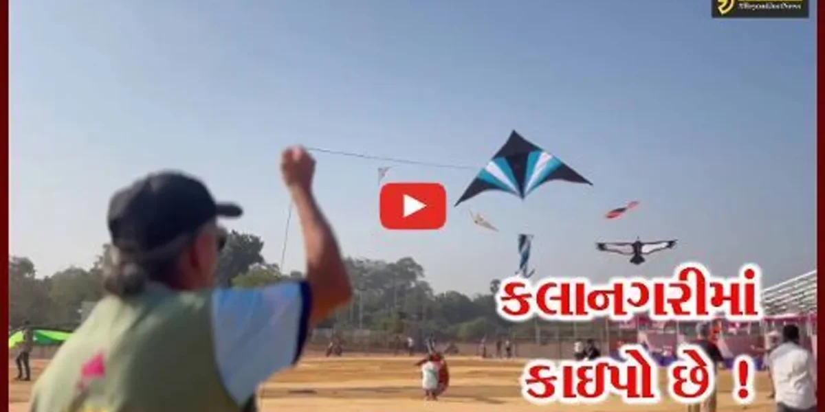 વડોદરા: આંતરરાષ્ટ્રીય પતંગ મહોત્સવનું આયોજન, 19 દેશોના પતંગબાજો લઈ રહ્યા છે ભાગ