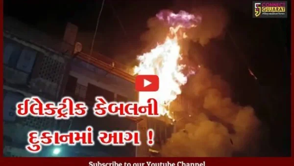 વડોદરા: ઈલેક્ટ્રીક કેબલની દુકાનમાં આગ ફાટી નિકળતા દોડધામ,ફાયર વિભાગે આગ પર મેળવ્યો કાબુ