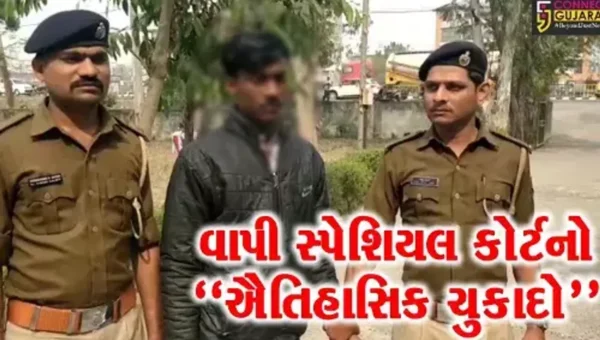 વલસાડ : દુષ્કર્મ બાદ હત્યા કરી બાળકીનો મૃતદેહ લટકાવ્યો પંખા પર, કોર્ટે નરાધમને ફટકારી ફાંસીની સજા