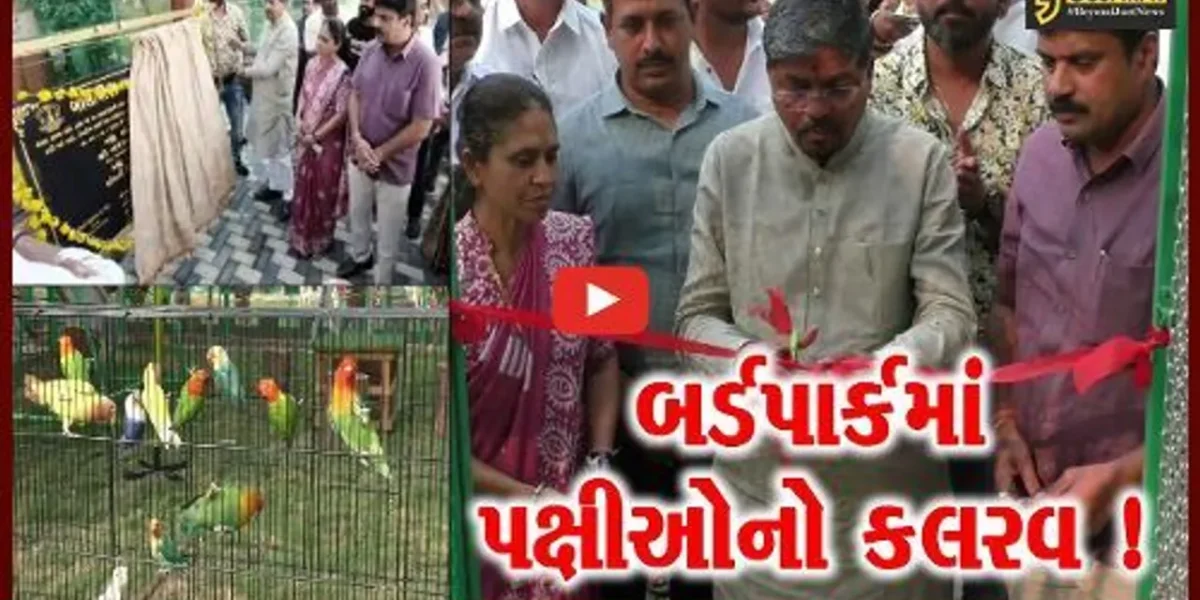 નવસારી: બીલીમોરામાં નગરપાલિકા સંચાલિત દક્ષિણ ગુજરાતનાં પ્રથમ બર્ડપાર્કનું નિર્માણ, 30 પ્રજાતિના પક્ષીઓને માણી શકાશે