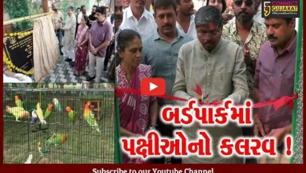 નવસારી: બીલીમોરામાં નગરપાલિકા સંચાલિત દક્ષિણ ગુજરાતનાં પ્રથમ બર્ડપાર્કનું નિર્માણ, 30 પ્રજાતિના પક્ષીઓને માણી શકાશે