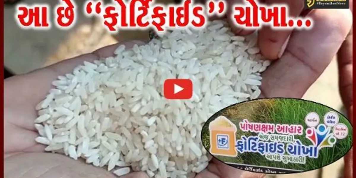 ભરૂચ : સસ્તા અનાજની દુકાનમાંથી લોકોને મળતા ચોખા પ્લાસ્ટિકના નથી, આ છે ફોર્ટિફાઈડ ચોખા : પુરવઠા વિભાગ