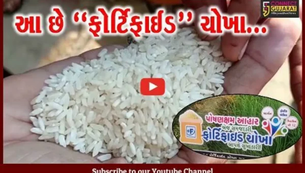 ભરૂચ : સસ્તા અનાજની દુકાનમાંથી લોકોને મળતા ચોખા પ્લાસ્ટિકના નથી, આ છે ફોર્ટિફાઈડ ચોખા : પુરવઠા વિભાગ