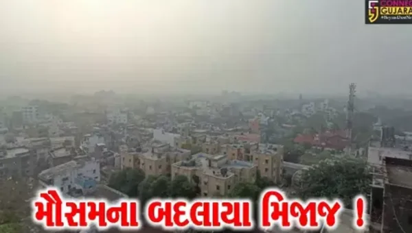 ગુજરાતમાં ઠેર ઠેર કમોસમી વરસાદ, ખેતીના પાકને વ્યાપક નુકશાનની ભીતિ