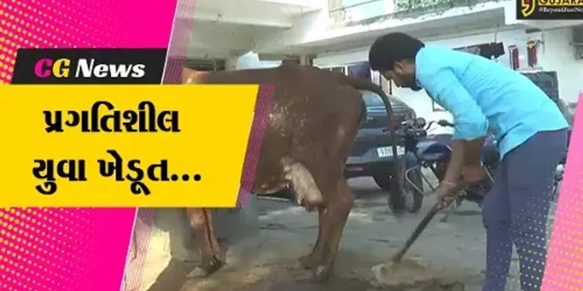 સાબરકાંઠા : BBAનો અભ્યાસ છોડી દેશાસણના યુવાને શરૂ કરી પ્રાકૃતિક ખેતી, અને મેળવી બમણી આવક…