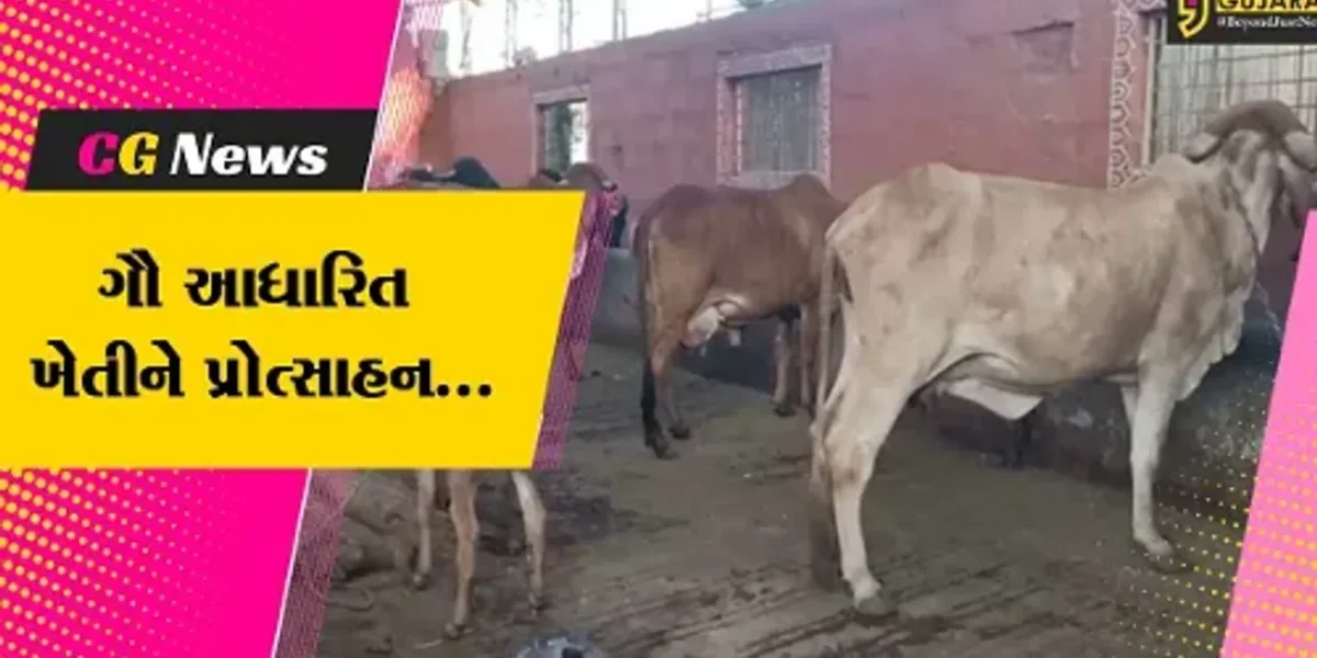 જુનાગઢ : કેન્દ્રના રાજ્યકક્ષાના નાણામંત્રી ડૉ. ભાગવત કરાડ આવ્યા જામકાની મુલાકાતે, ગૌ આધારિત ખેતી વિશે કર્યો સંવાદ