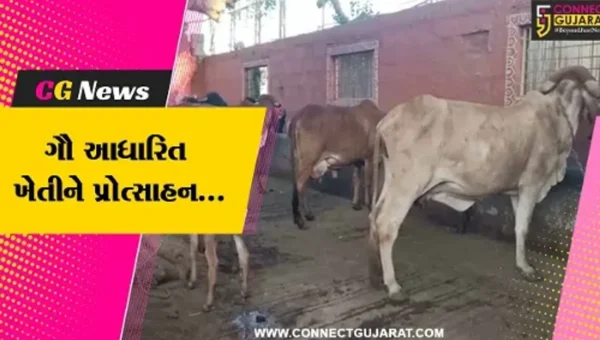 જુનાગઢ : કેન્દ્રના રાજ્યકક્ષાના નાણામંત્રી ડૉ. ભાગવત કરાડ આવ્યા જામકાની મુલાકાતે, ગૌ આધારિત ખેતી વિશે કર્યો સંવાદ