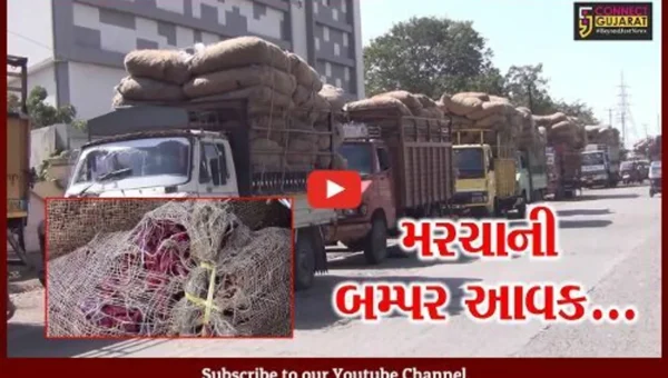 ગુજરાતમાં પ્રથમ વખત જામનગર-હાપા માર્કેટ યાર્ડમાં સૌથી વધુ મરચાનો ભાવ મળતા ખેડૂતોની લાંબી કતાર…