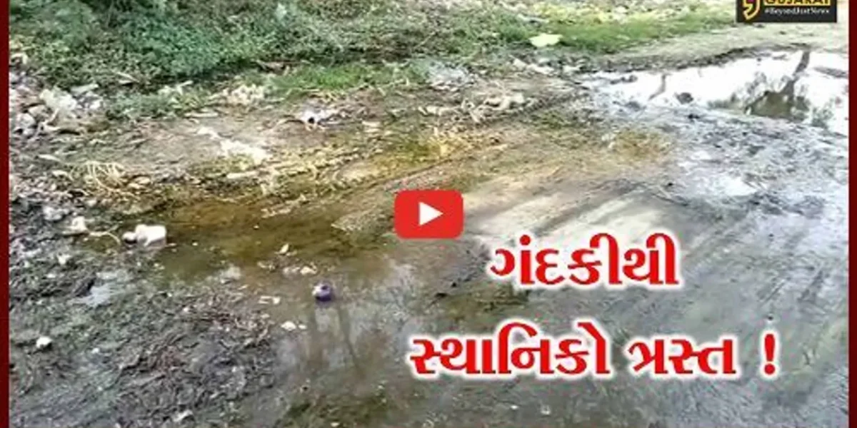 ભરૂચ: જંબુસરના તળાવપુરાથી ભાણખેતર જવાના મુખ્ય માર્ગ પર ગંદકીનું સામ્રાજ્ય, સ્થાનિકોમાં રોષ