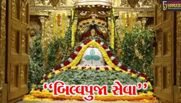 હવે, મહાશિવરાત્રી પર્વ પર દરેક ભક્ત સોમનાથ મહાદેવને બિલ્વપત્ર અર્પણ કરવાનું પુણ્ય મેળવી શકશે, જુઓ આ અહેવાલ…