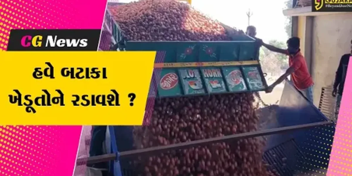 સાબરકાંઠા: ખેડૂતોના બટાકા વેપારીઓ ન ખરીદતા હાલાકી,જુઓ કેમ સમસ્યાનું થયું નિર્માણ