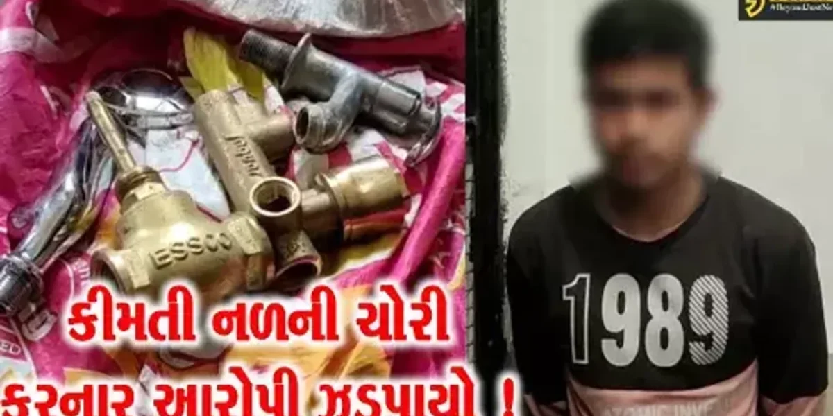અંકલેશ્વર: મકાનમાંથી કીમતી નળ સહિત પ્લમ્બરીંગના સામાનની ચોરી કરનાર તસ્કરની પોલીસે કરી ધરપકડ