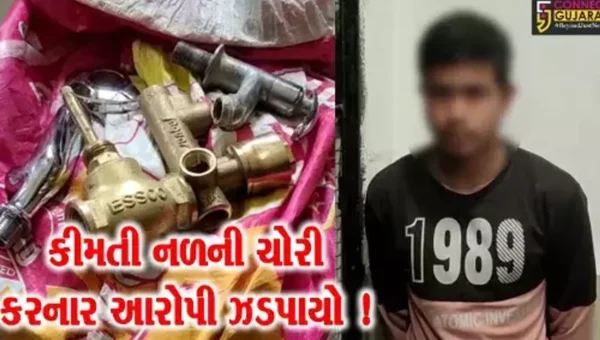 અંકલેશ્વર: મકાનમાંથી કીમતી નળ સહિત પ્લમ્બરીંગના સામાનની ચોરી કરનાર તસ્કરની પોલીસે કરી ધરપકડ