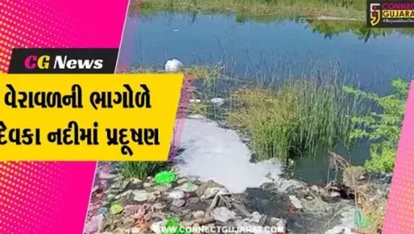 ગીર સોમનાથ : વેરાવળની દેવકા નદીમાં પ્રદૂષણથી લોકોને આંખોમાં બળતરા, અતિશય દુર્ગંધની પણ ઉઠી ફરિયાદ…