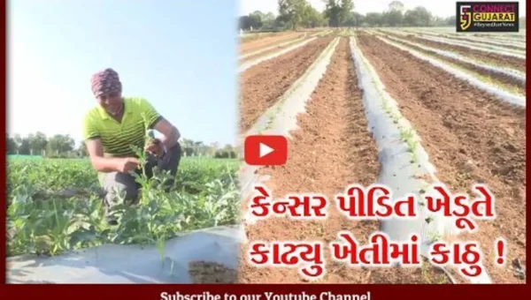 ખેડા: કેન્સર પીડિત ખેડૂતે તડબુચ અને શક્કરટેટીની ખેતી કરી મેળવી લાખોની આવક