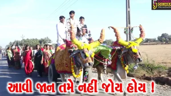 ગીરસોમનાથ: સુત્રાપાડાના લોઢવા ગામે બળદગાડામાં વરરાજાની નિકળી જાન, પરંપરાગત રીતે યોજાયા લગ્ન