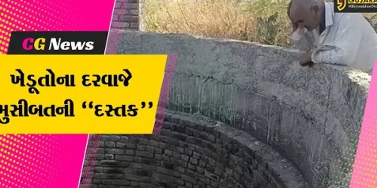 ભૂકંપના ભય વચ્ચે અમરેલીના ખેડૂતો પર આવી નવી “આફત”, જુઓ આ અહેવાલ…