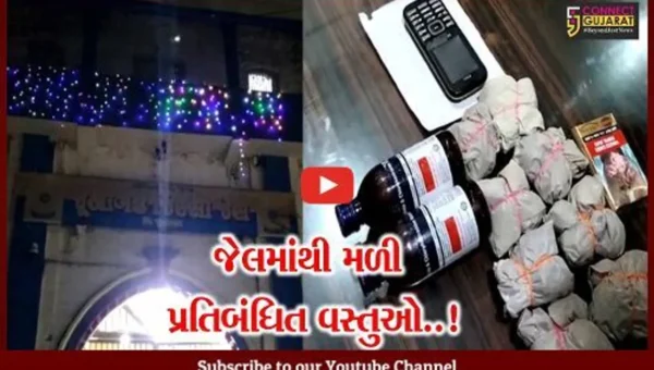 જુનાગઢ : જેલમાં કેદીઓના બેરેક-અંગ ઝડતીમાં મળી પ્રતિબંધિત વસ્તુઓ, પછી જુઓ કેદીએ કેવું નાટક કર્યું !